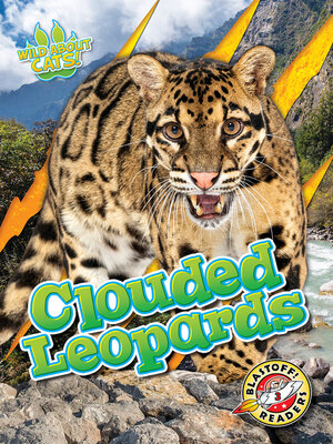 cover image of Clouded Leopards